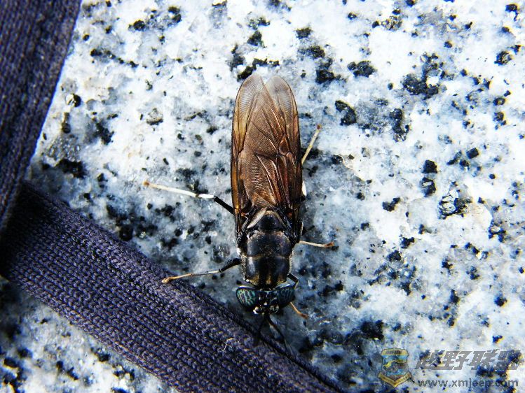 DSCF2822.JPG