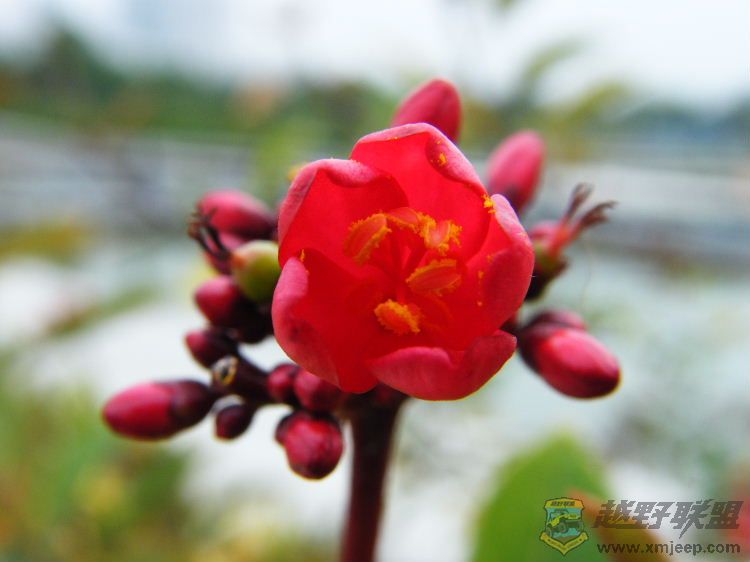 DSCF2851.JPG