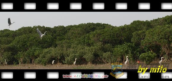 PC312685-Ϣ-1.jpg