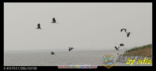 PC312696-Ⱥ-1.jpg