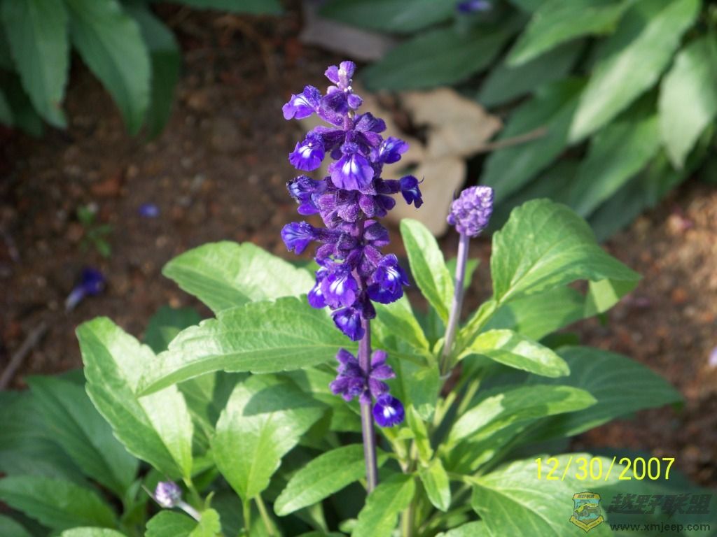 100_0328.JPG