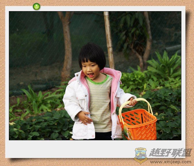 nEO_IMG_DSC06520.jpg