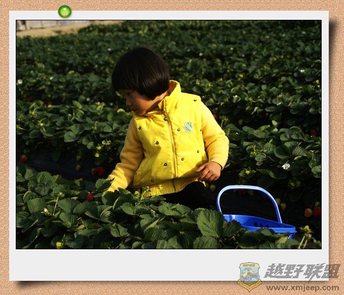 nEO_IMG_DSC06719.jpg