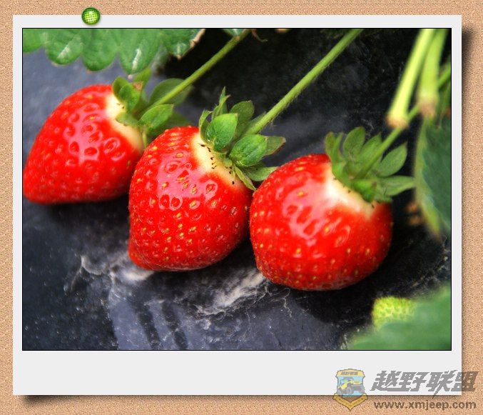 nEO_IMG_DSC06524.jpg
