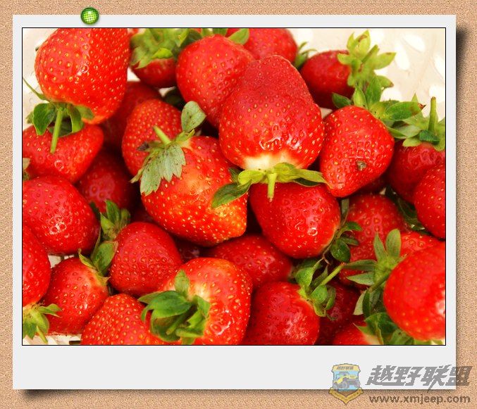 nEO_IMG_DSC06539.jpg