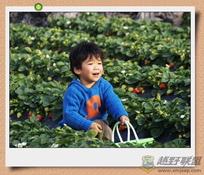 nEO_IMG_DSC06732.jpg