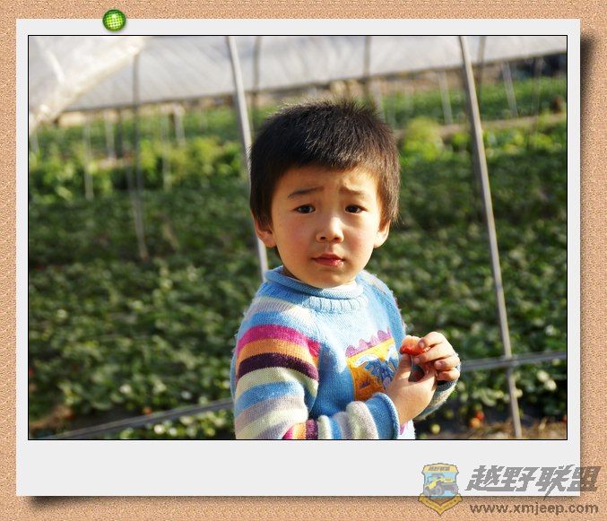 nEO_IMG_DSC06739.jpg