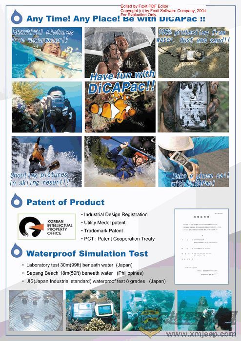 Dicapac_brochure2007-3_nEO_IMG.jpg