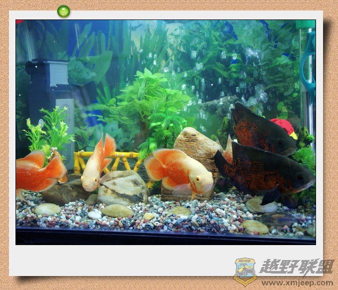 nEO_IMG_DSC06896.jpg