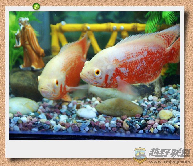 nEO_IMG_DSC06899.jpg