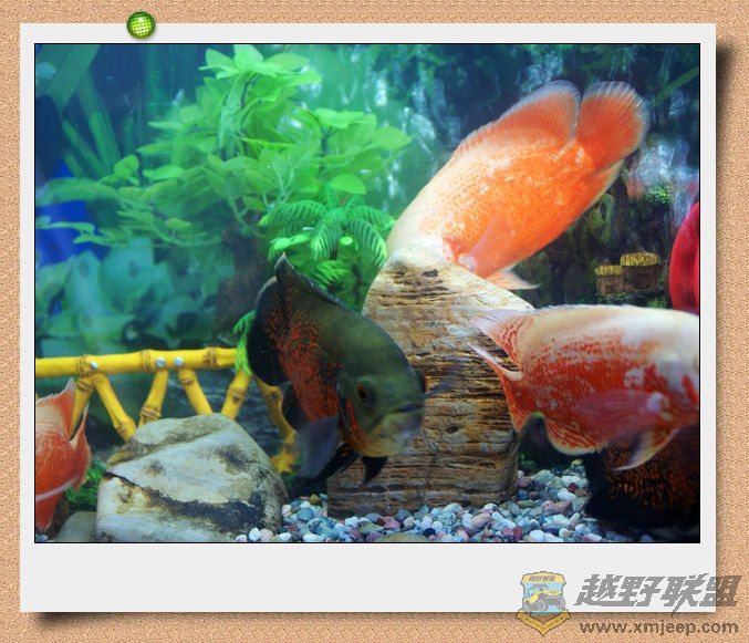 nEO_IMG_DSC06901.jpg