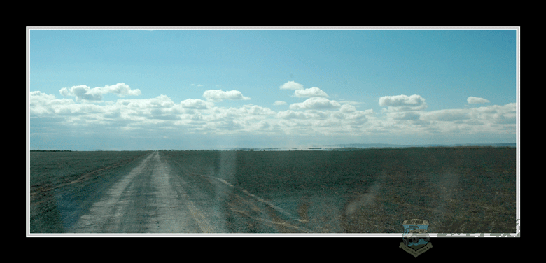 DSC_5592.gif