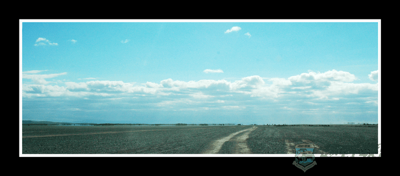 DSC_5593.gif