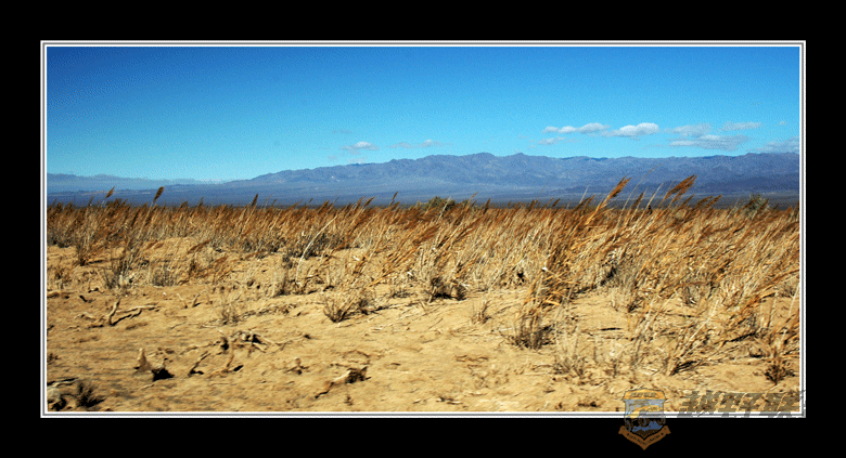 DSC_5591ps.gif