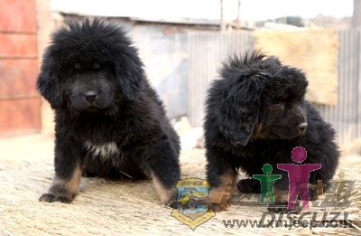 20080218_ea7ea3c2430716c45dac7Lw1o7YAcI0A.jpg