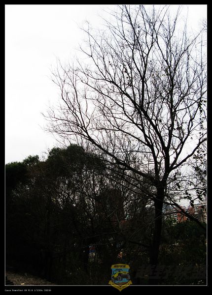 Ƭ 022.jpg