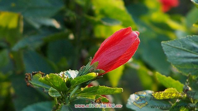 101_0428.jpg