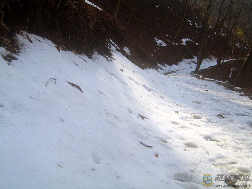 SV102217.jpg