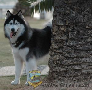 DSC_7500.jpg