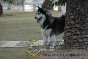 DSC_7501.jpg
