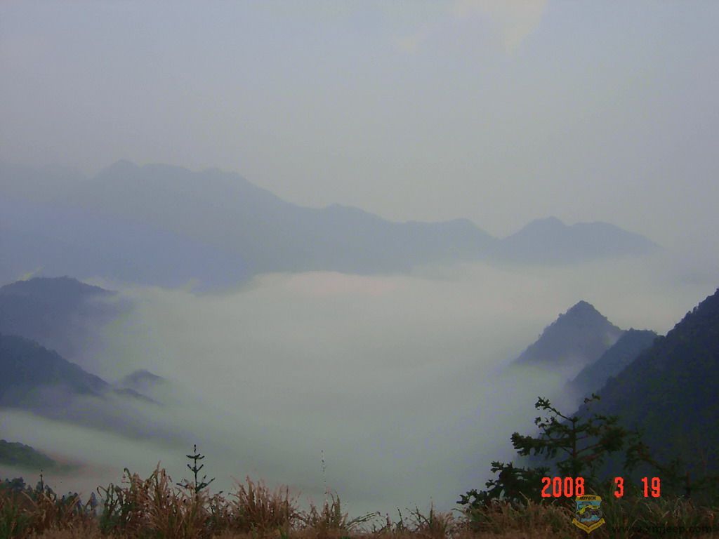 DSC08403.jpg2.jpg