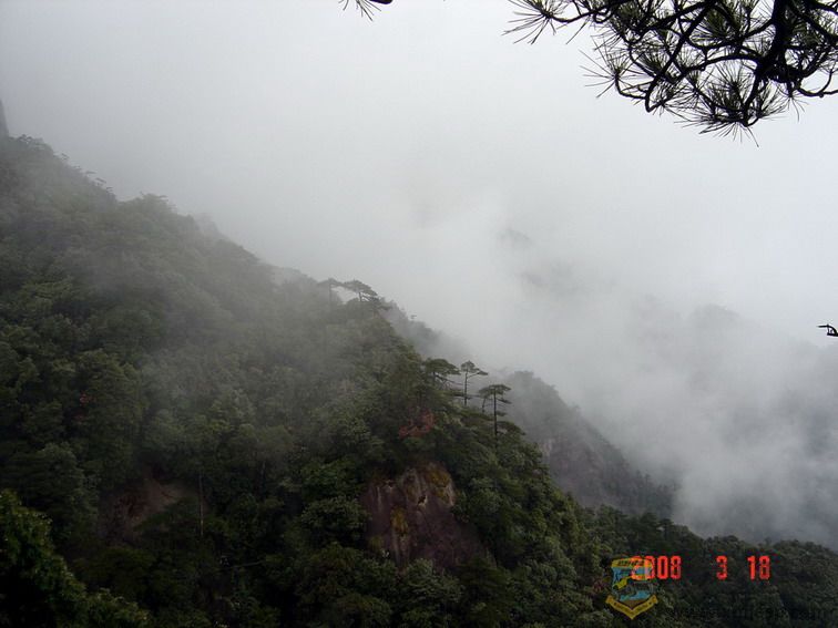DSC08382.jpg11.jpg