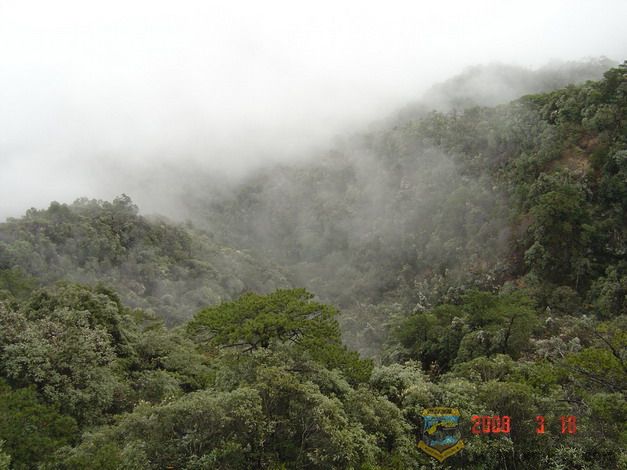 DSC08390.jpg14.jpg