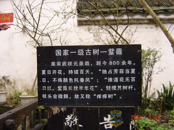 DSC08319.jpg4.jpg