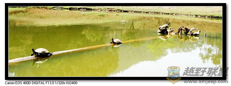 IMG_19_nEO_IMG.jpg