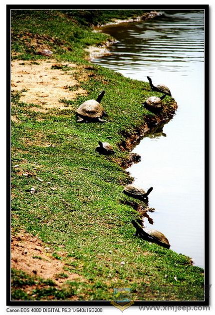 IMG_26_nEO_IMG.jpg