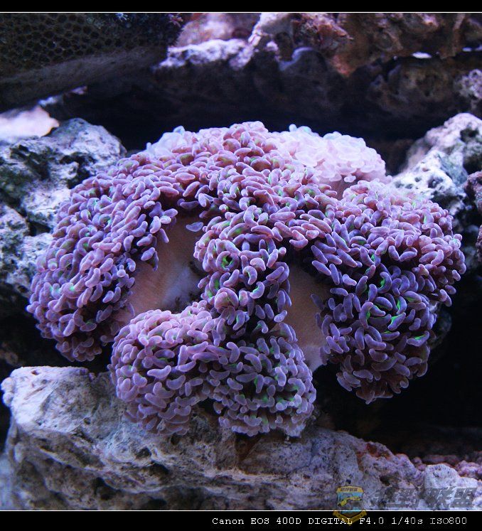 IMG_7897.jpg