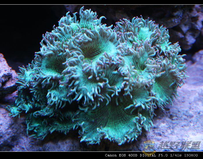 IMG_7931.jpg