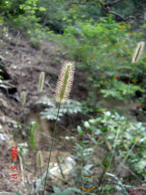 DSC08595.jpg