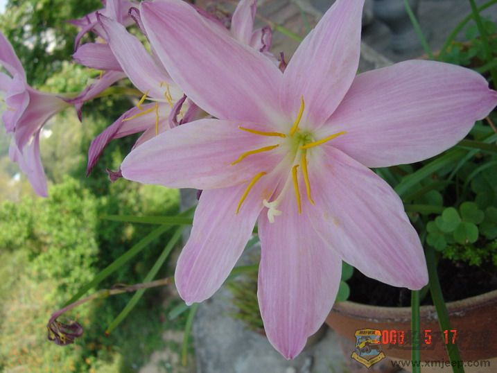 DSC08619.jpg