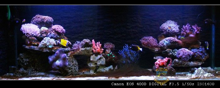 IMG_8896.jpg