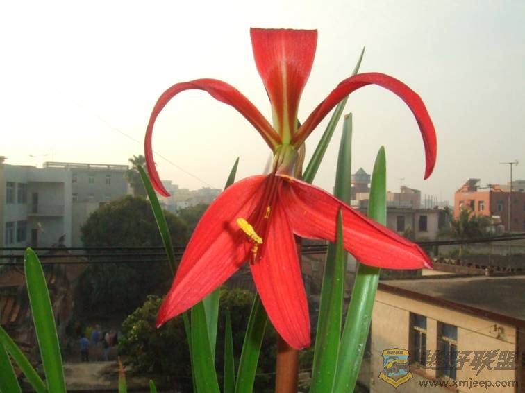 image004.jpg
