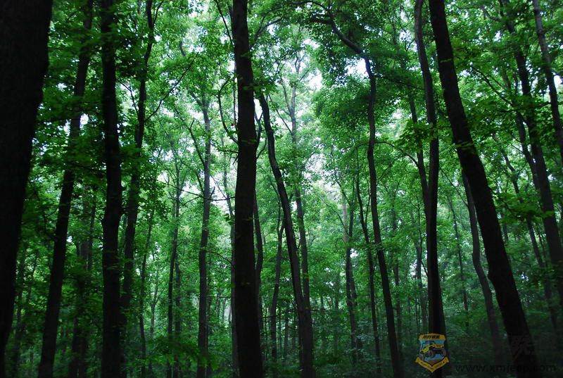 DSC_0567.JPG