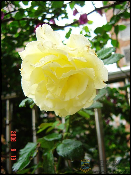 DSC08676a.jpg