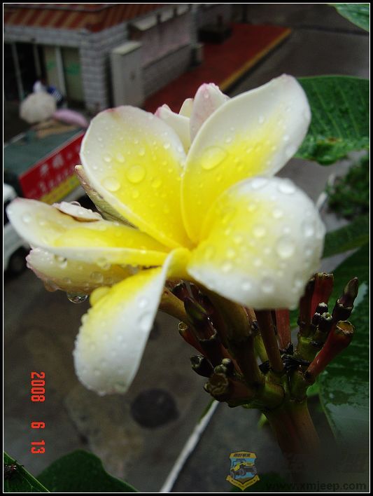 DSC08683a.jpg