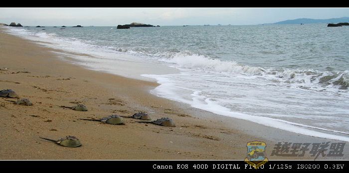 IMG_9318.jpg
