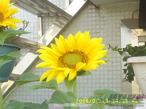 S4010043.JPG