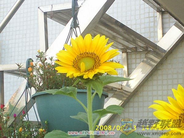S4010044.JPG