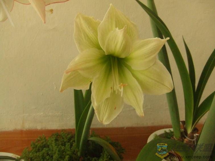 image006.jpg