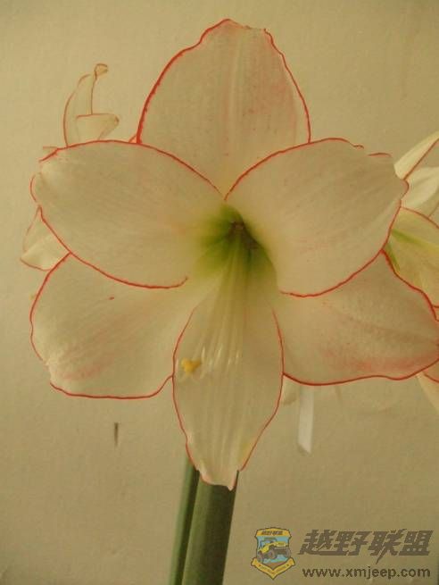 image008.jpg