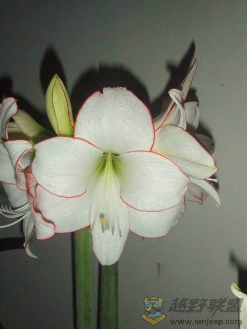 image012.jpg