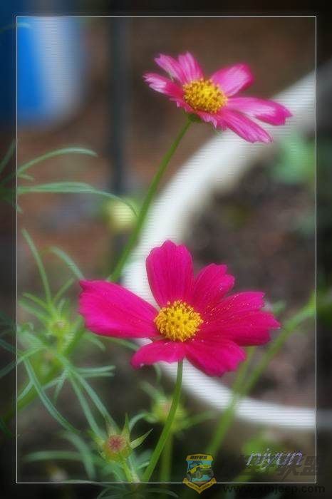 nEO_IMG_IMG_5196.jpg
