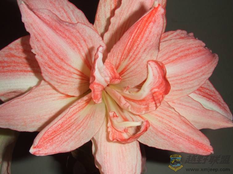 image014.jpg