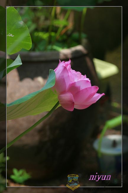 IMG_5412_nEO_IMG.jpg