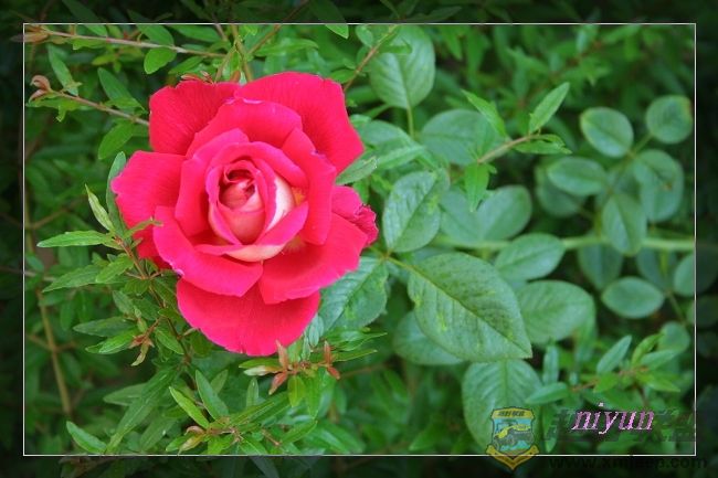IMG_5461_nEO_IMG.jpg