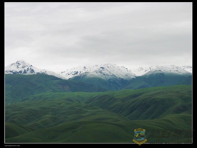 IMG_6250.jpg